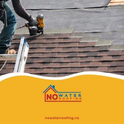 Top-rated roofing materials for Edmonton homes