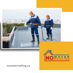 24/7 Emergency Commercial Roof Repair in Edmonton