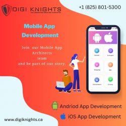 Affordable Web Design Canada – DigiKnights.ca