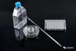 Cell Culture Flask