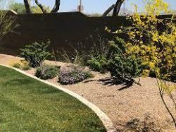 Top Five Benefits of Landscape Maintenance in Scottsdale AZ