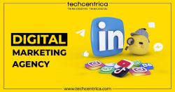 Best SEO Company/Agency in Noida | TechCentrica