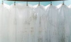 Hire Us For Best Curtain Mould Removal In Brisbane