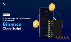 Revolutionize Your Crypto Business with Binance Clone Script Development