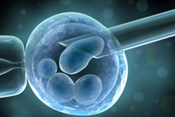 basic stem cell research