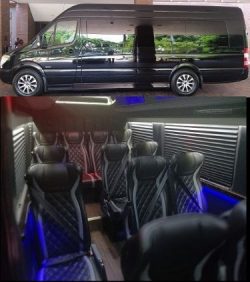 20 Passenger Sprinter Van Rental