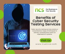 Choose the Right Cyber Security Testing Service Provider