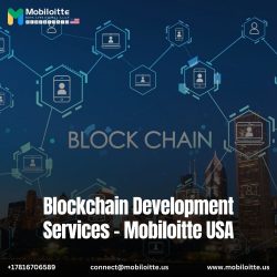 Blockchain Development Services