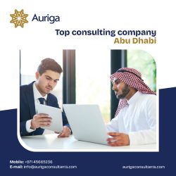 Auriga Consultants: Your Trusted Partner for Expert Consulting in Abu Dhabi