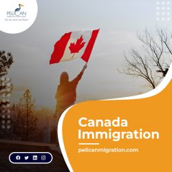 Navigating the Canada Immigration Process: Your Comprehensive Guide