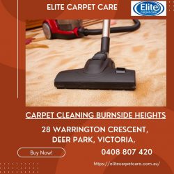 Carpet Cleaning Burnside Heights