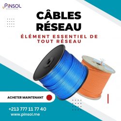 Câbles réseau : élément essentiel de tout réseau