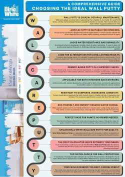 Choosing the Right Wall Putty: An Infographic Guide by Birla White