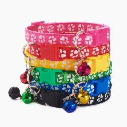 Pet Collars