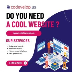 website devlopment