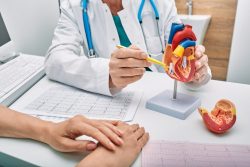 Cardiologist in Jaipur