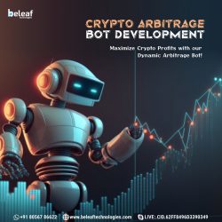 Crypto arbitrage bot development