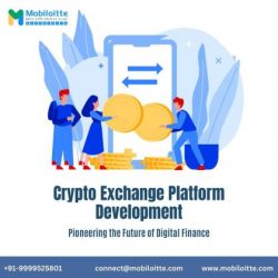 Crypto Exchange Platform Development Services