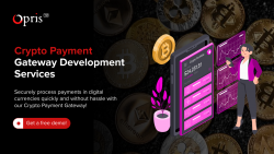 Crypto Payment Gateway Development Services | Opris