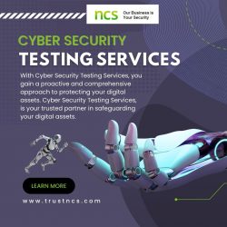 Unleashing the Power of Security Testing Services