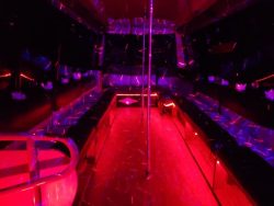 Queens Party Bus