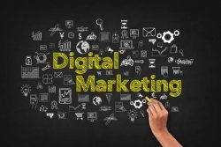 Noida Business Revolution: The Impact of Digital Marketing Services in Noida