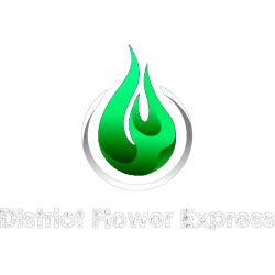 District Flower Express: Your Ultimate DC Cannabis Store