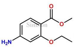 Pioneering Pharmaceutical Products Exporters in China