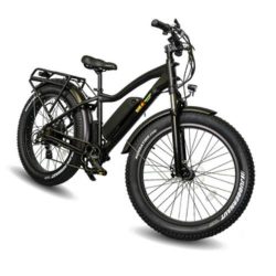 Electric Bike Store Near Me