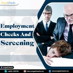 Employment Checks And Screening