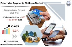 Enterprise Payments Platform Market Growth 2023, Global Industry Share, Rising Trends, Revenue,  ...