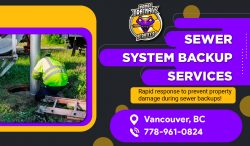 Expert Solutions for Sewage Backup