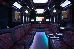 USA Party Bus