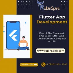 Best Flutter App Development Company in USA