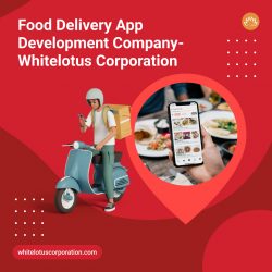 On Demand Food Delivery App Development Services California, USA