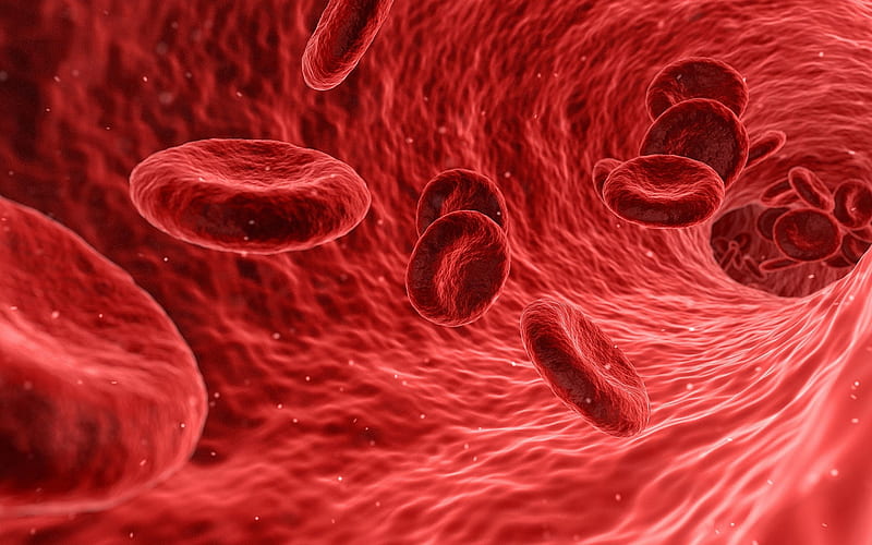 How To Do Guardian Blood Balance Australia? 25 Easy Strategies For Doing Guardian Blood Balance ...