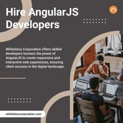 Hire AngularJS Developers | Dedicated Angularjs Developers to Hire