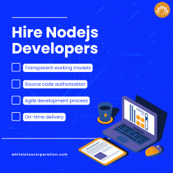 Hire Dedicated Node js Developers Houston, USA