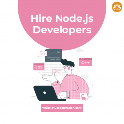 Hire Dedicated Node js Developers Newyork, USA