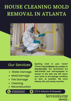 House Cleaning and Mold Removal Services in Atlanta