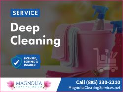 House Cleaning Services