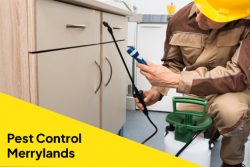 Come To Us For Pest Control Merrylands