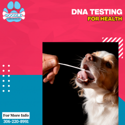 DNA testing for health