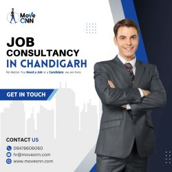 Job Consultancy in Chandigarh