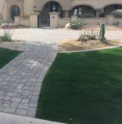 All About Landscape Maintenance