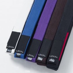 kids jiu jitsu belts