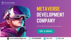 Metaverse Development Company