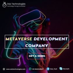 Metaverse Development Company | Osiz