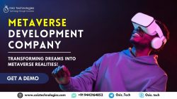 Metaverse Development Company