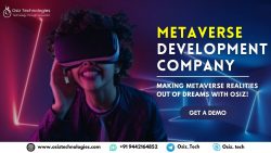 Metaverse Development Company